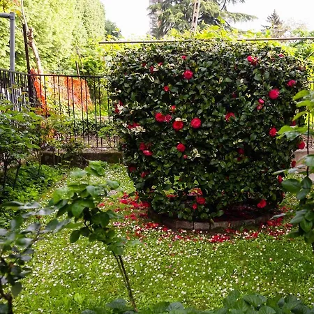 L'anfiteatro Lägenhet *